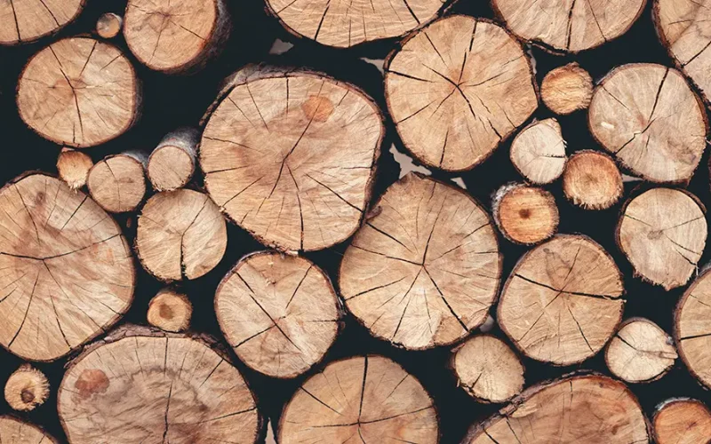 avantage-poele-a-bois